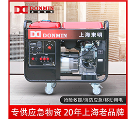 東明單三相10kw應(yīng)急儲備小型汽油發(fā)電機(jī)組 DMDS12000CXD/YJ
